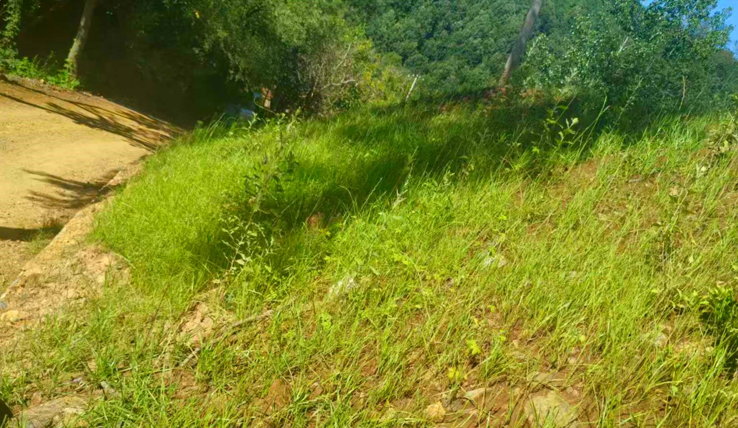 微信图片_20250812160726_28_副本