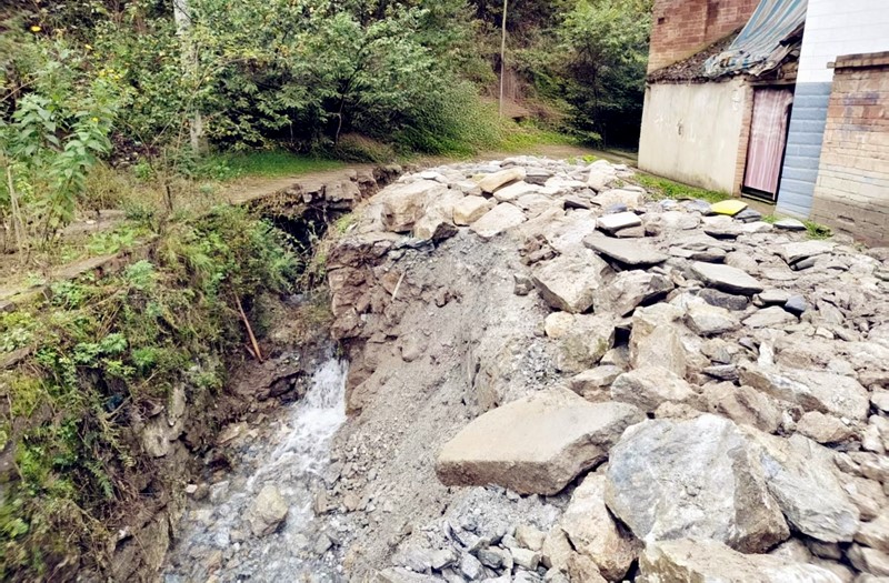 微信图片_20251210112058_177_7_副本